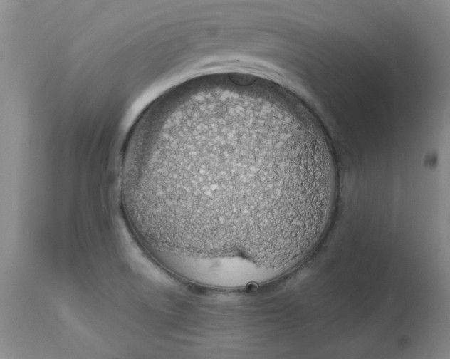 X0000113631522200910091543