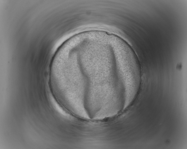 X0000113631523200910091543