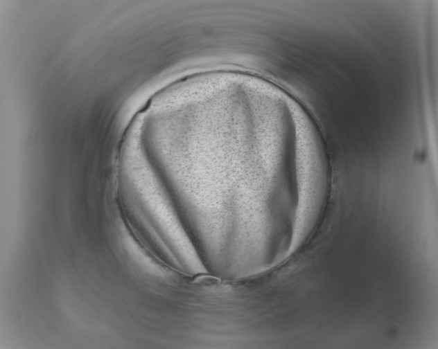 X0000113631524200910091543