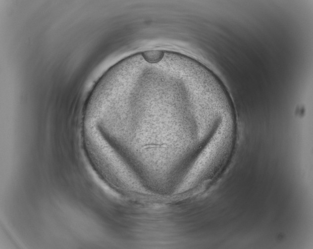 X0000113631525200910091543