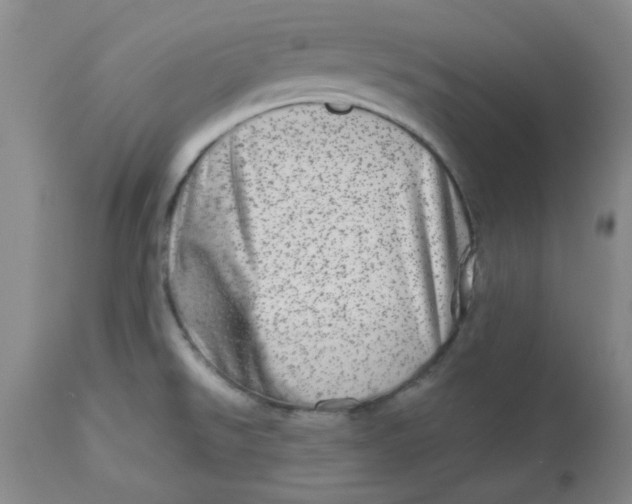 X0000113631526200910091543