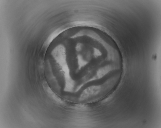 X0000113631529200910091543