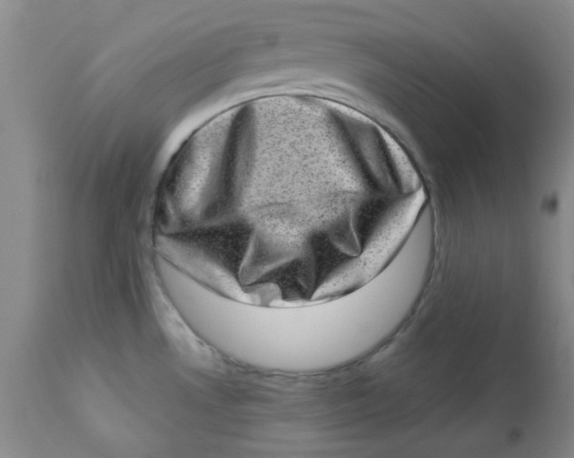 X0000113631530200910091543
