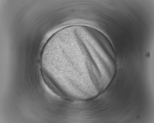 X0000113631531200910091543