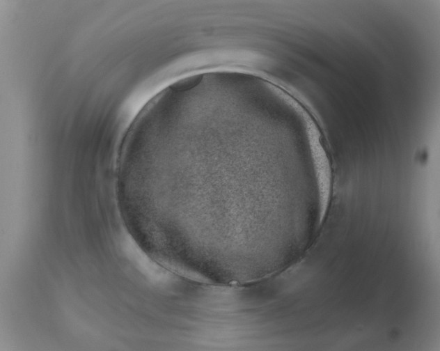 X0000113631532200910091543