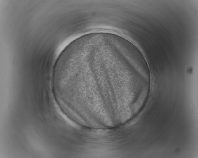 X0000113631533200910091543