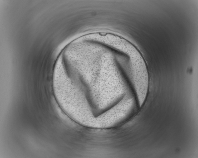 X0000113631534200910091543
