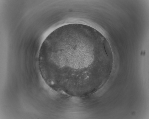 X0000113631536200910091543