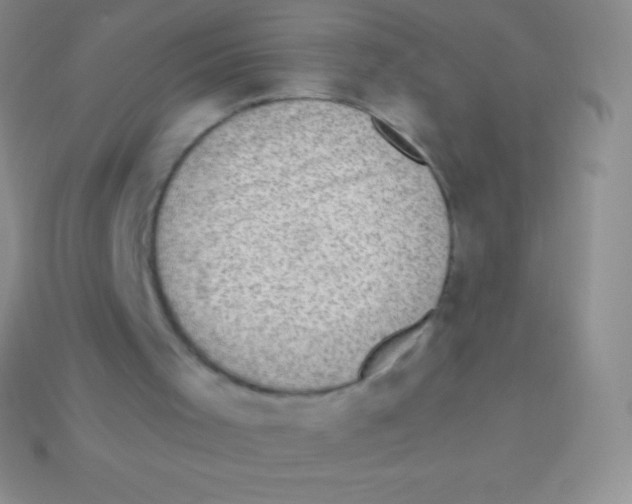 X0000113630001200910162026