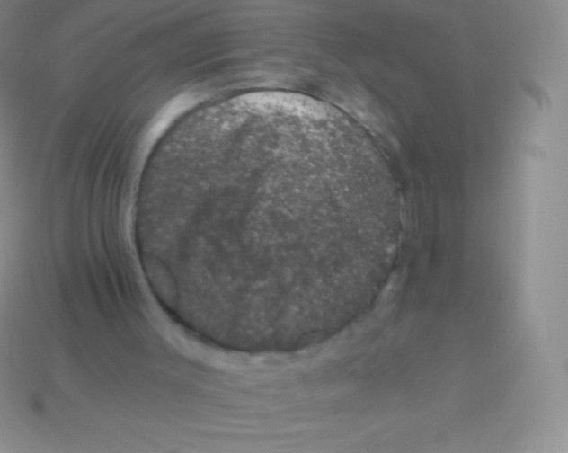 X0000113630003200910162026