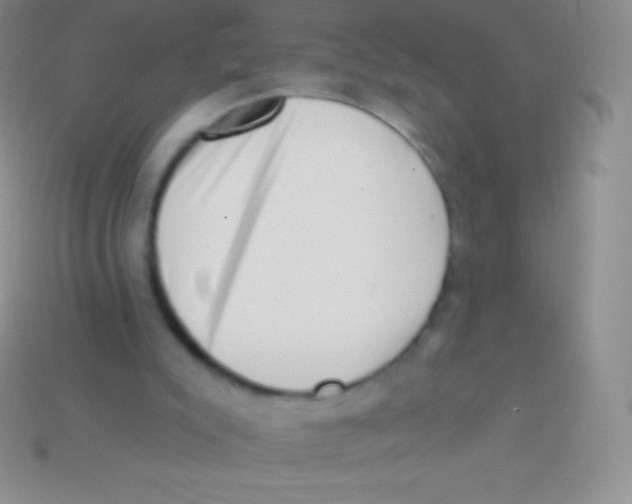 X0000113630007200910162025