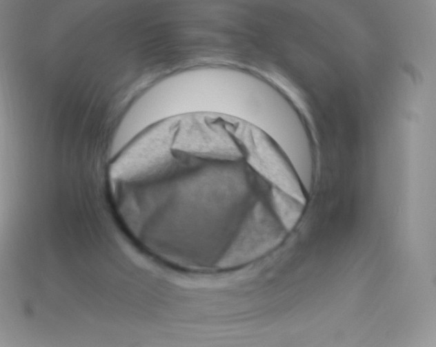 X0000113630009200910162025