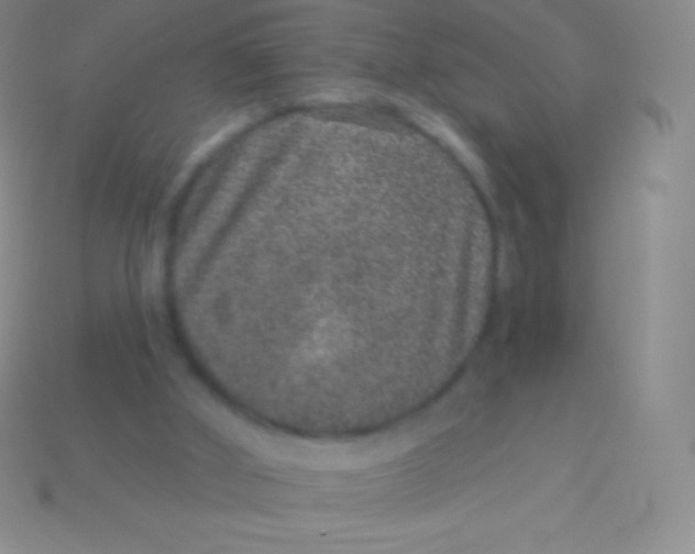 X0000113630010200910162025