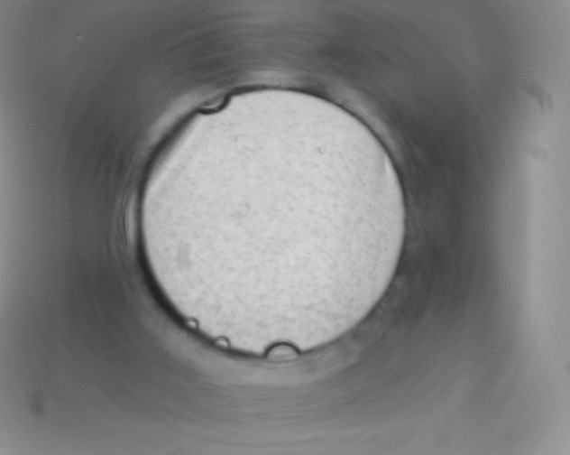 X0000113630011200910162025