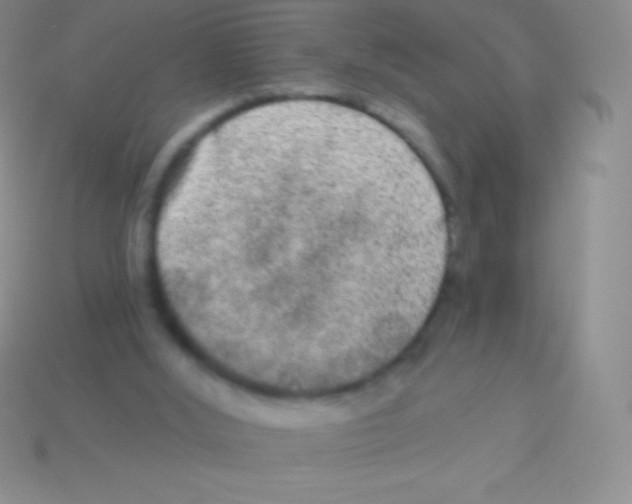 X0000113630012200910162025