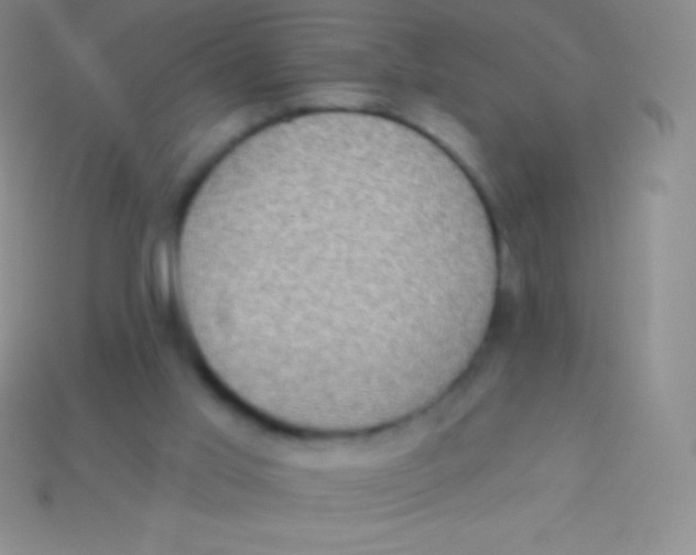 X0000113630013200910162025