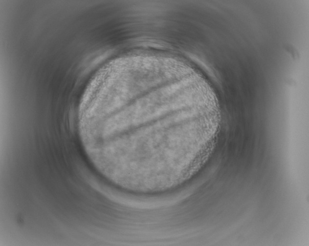 X0000113630014200910162025