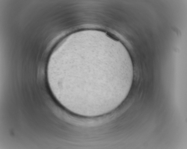 X0000113630015200910162025