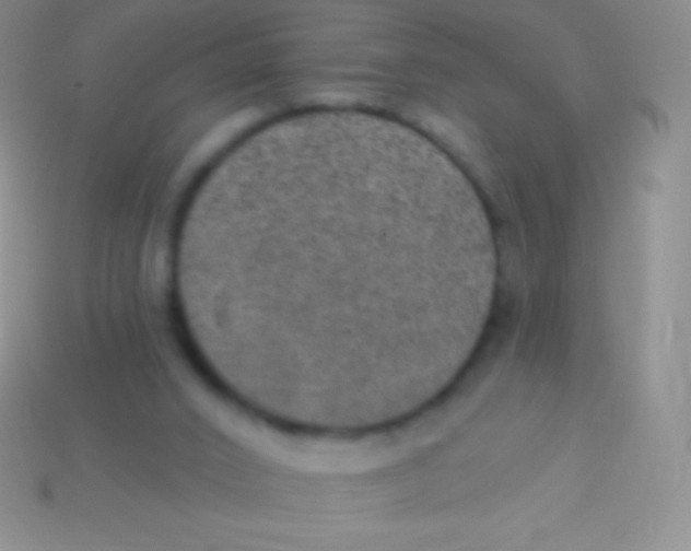 X0000113630016200910162025