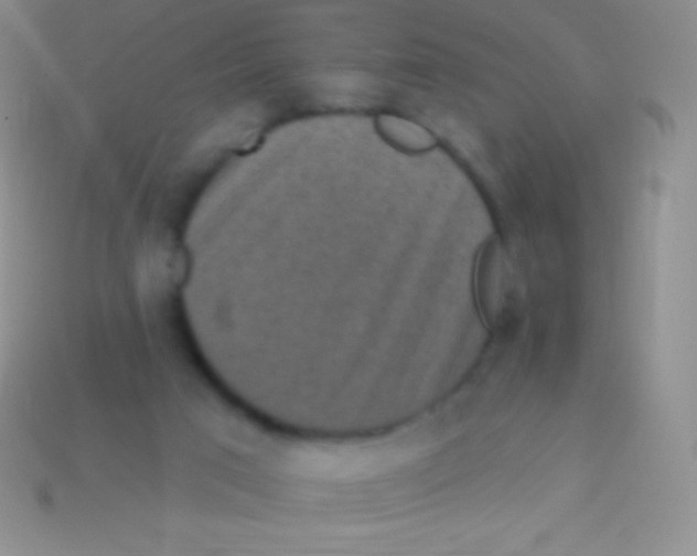 X0000113630017200910162025