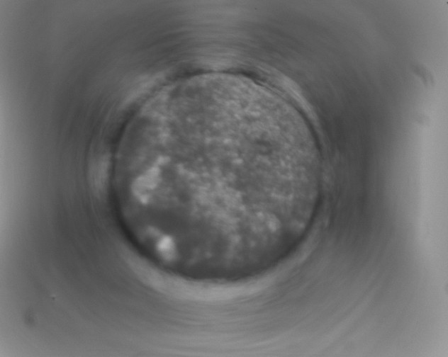 X0000113630018200910162025