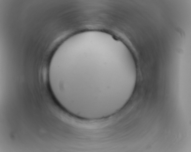 X0000113630019200910162025