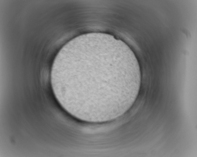 X0000113630021200910162025