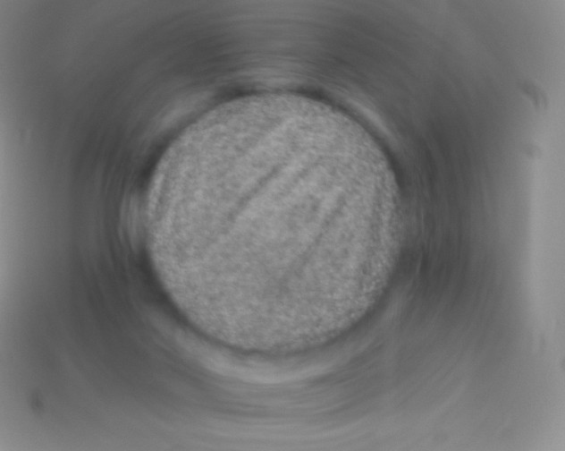 X0000113630022200910162025