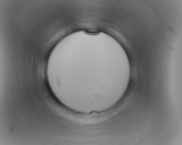 X0000113630023200910162025