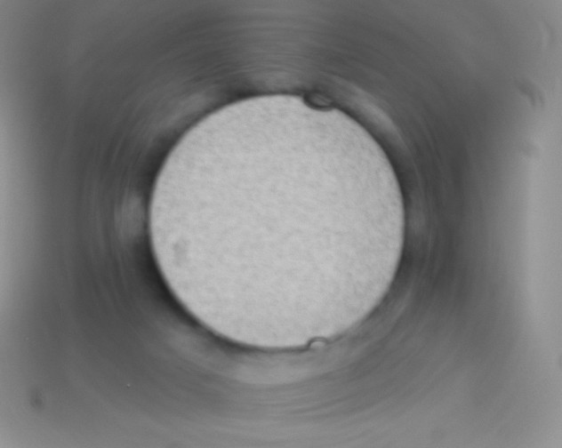 X0000113630025200910162025