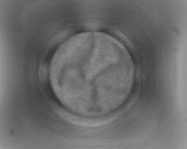 X0000113630026200910162025