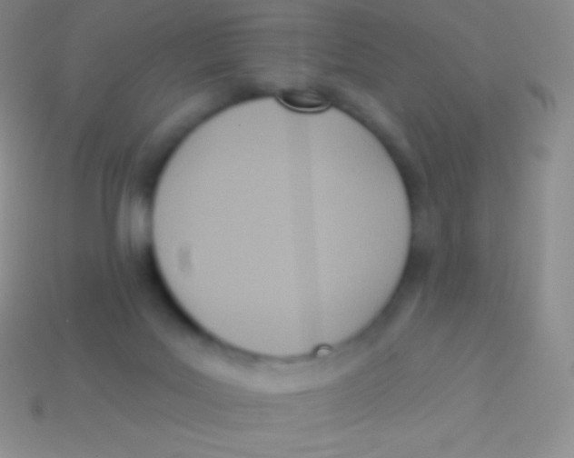 X0000113630027200910162025