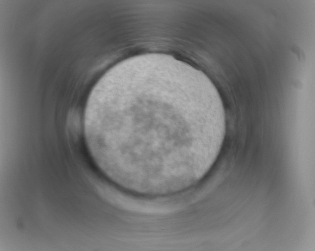 X0000113630028200910162025