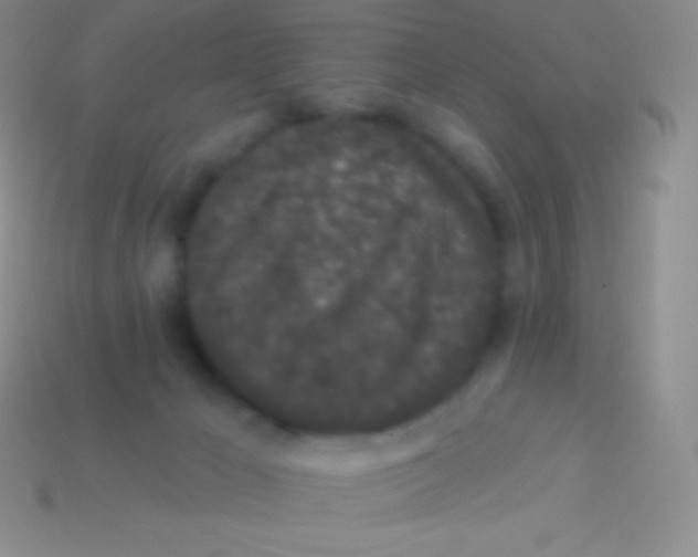 X0000113630029200910162025