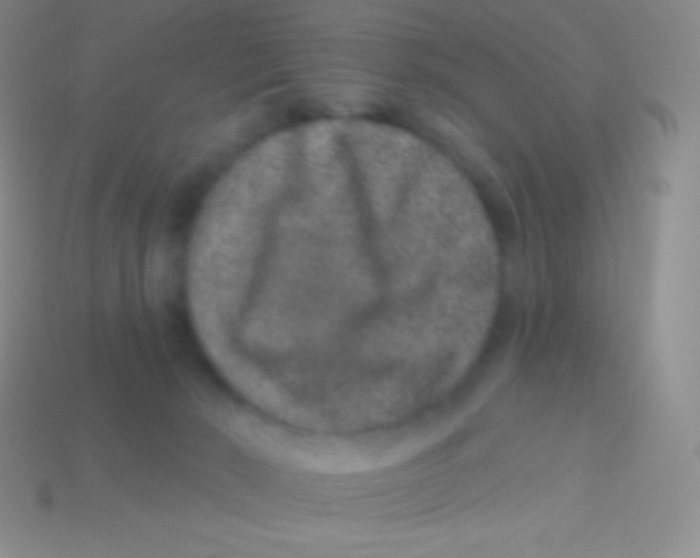 X0000113630030200910162025