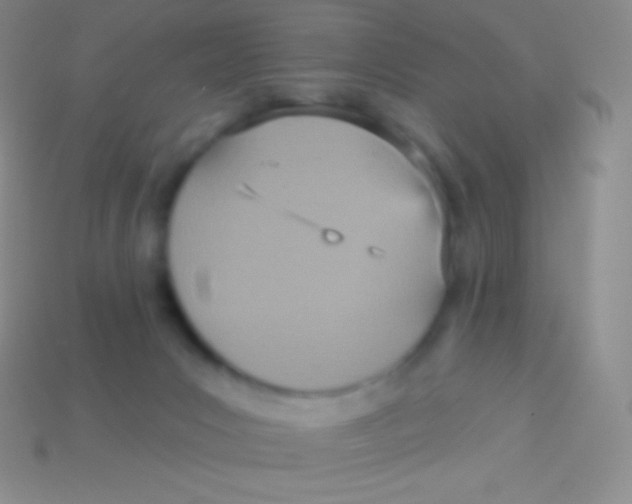 X0000113630031200910162025