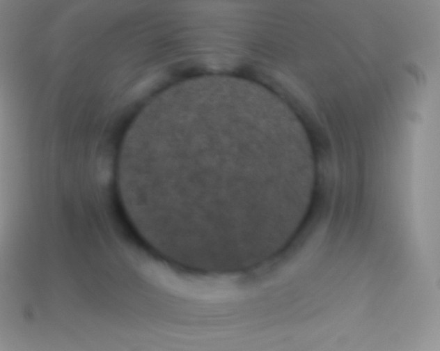 X0000113630032200910162025