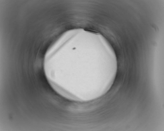 X0000113630033200910162025