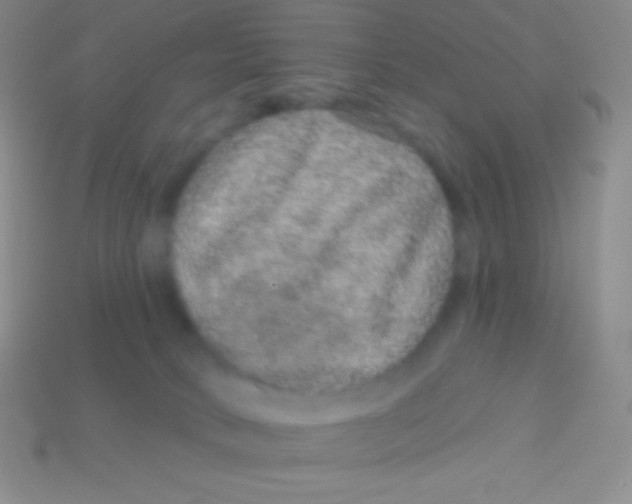 X0000113630034200910162025