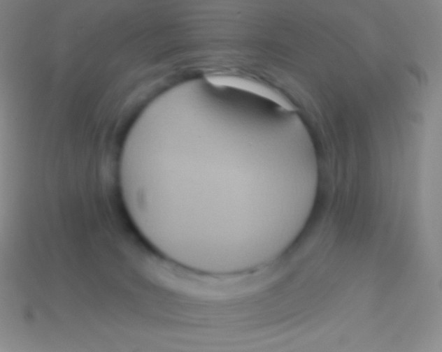 X0000113630035200910162025