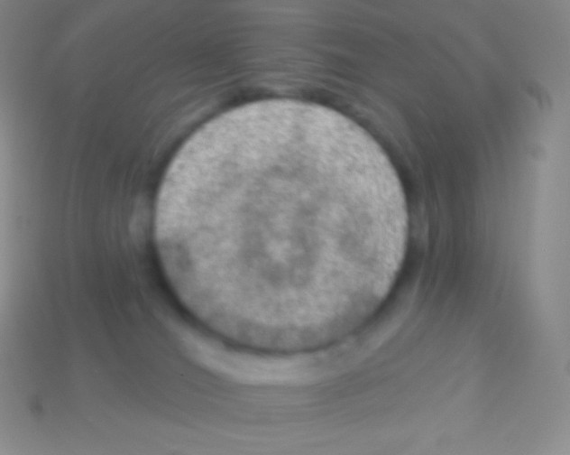 X0000113630036200910162025