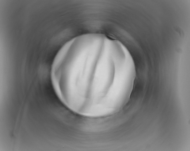 X0000113630037200910162025