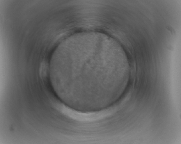 X0000113630038200910162025