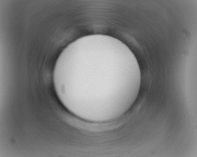 X0000113630039200910162025