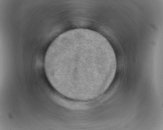 X0000113630040200910162025