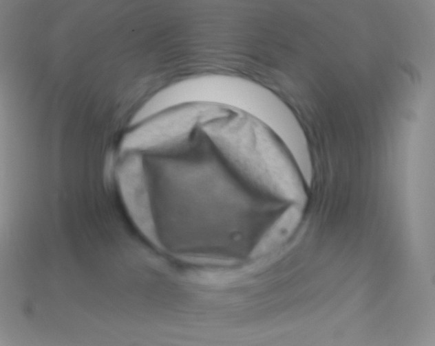 X0000113630041200910162025