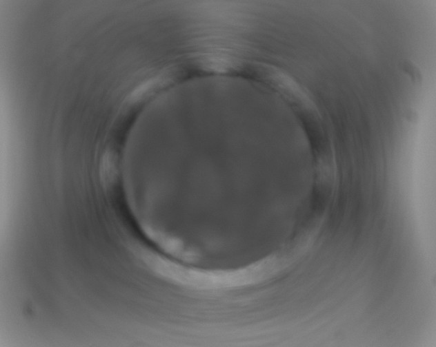 X0000113630043200910162025