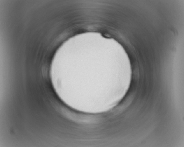 X0000113630044200910162025