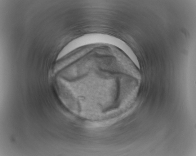 X0000113630045200910162025