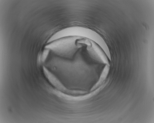 X0000113630047200910162025